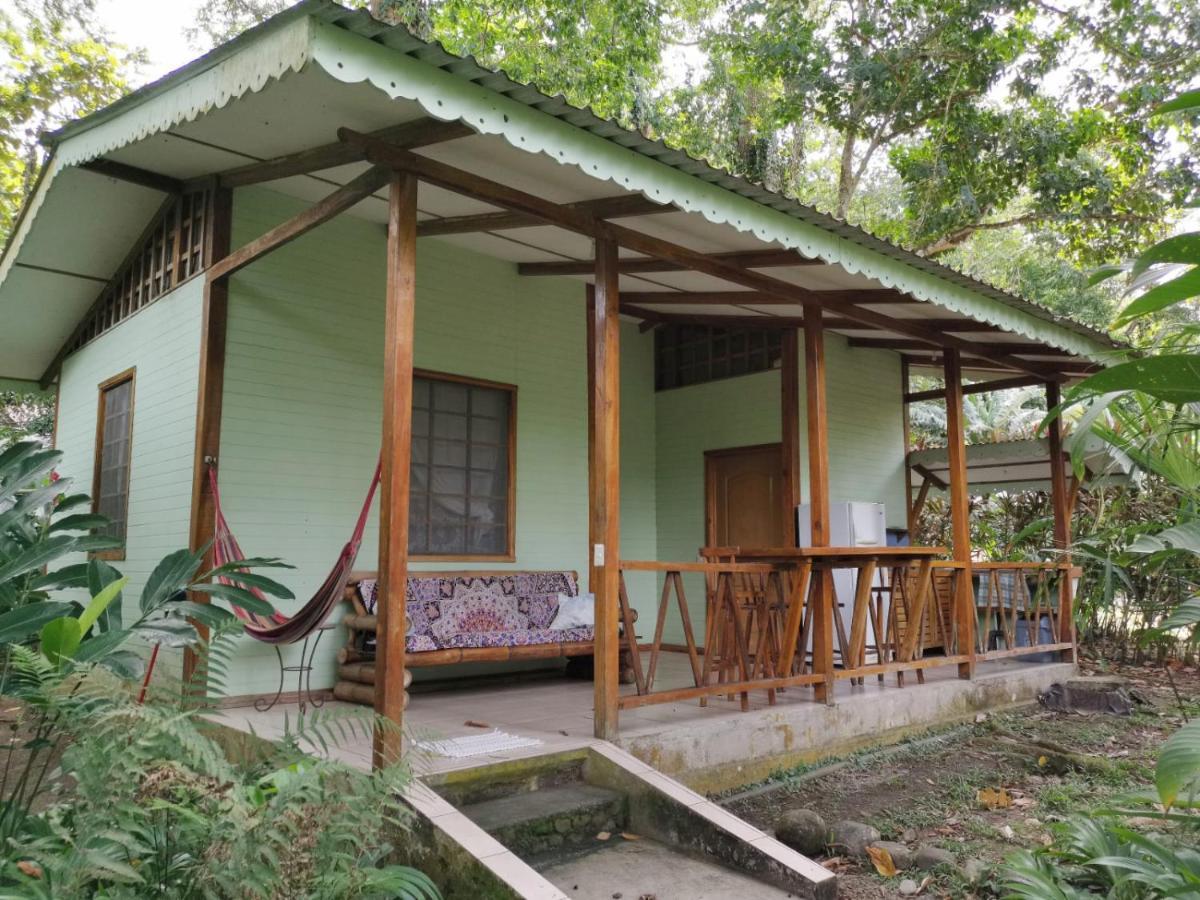 Luna Caribena Village Puerto Viejo de Talamanca Exteriör bild