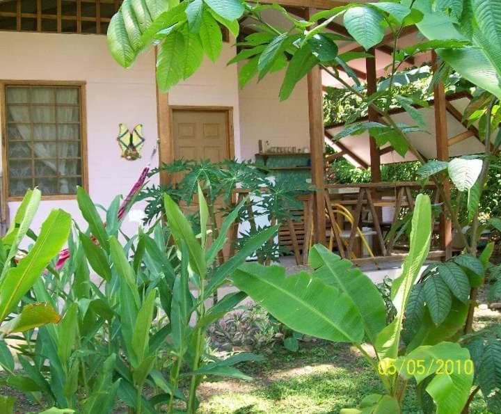 Luna Caribena Village Puerto Viejo de Talamanca Exteriör bild