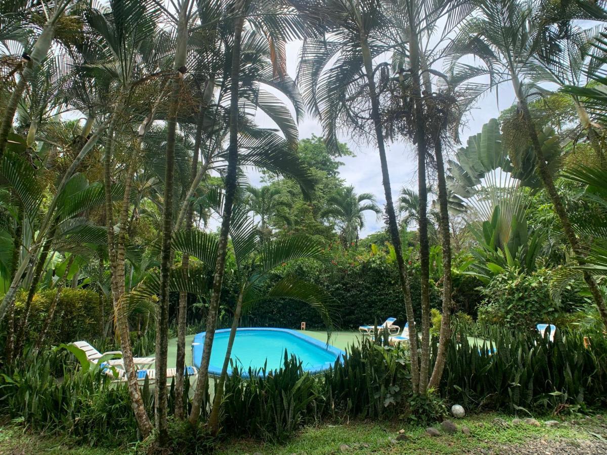 Luna Caribena Village Puerto Viejo de Talamanca Exteriör bild