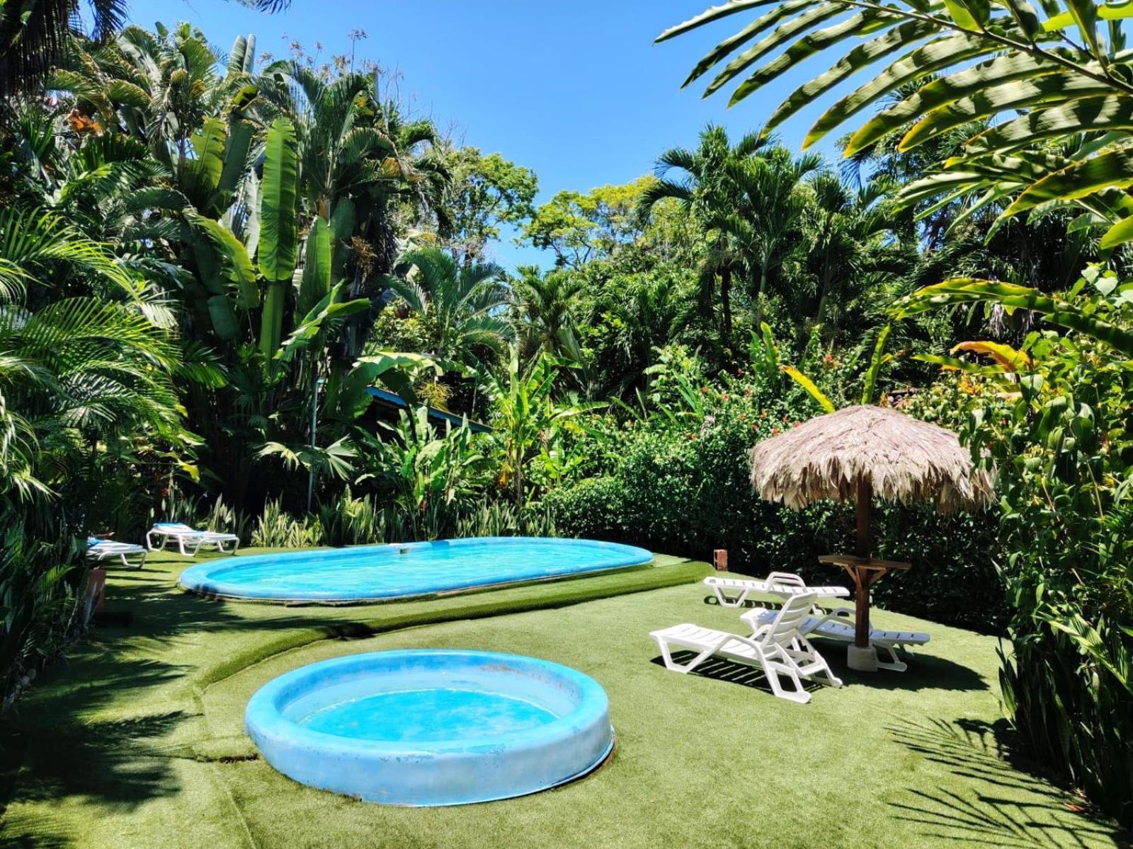 Luna Caribena Village Puerto Viejo de Talamanca Exteriör bild