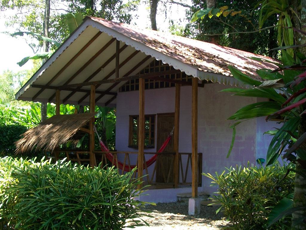 Luna Caribena Village Puerto Viejo de Talamanca Exteriör bild
