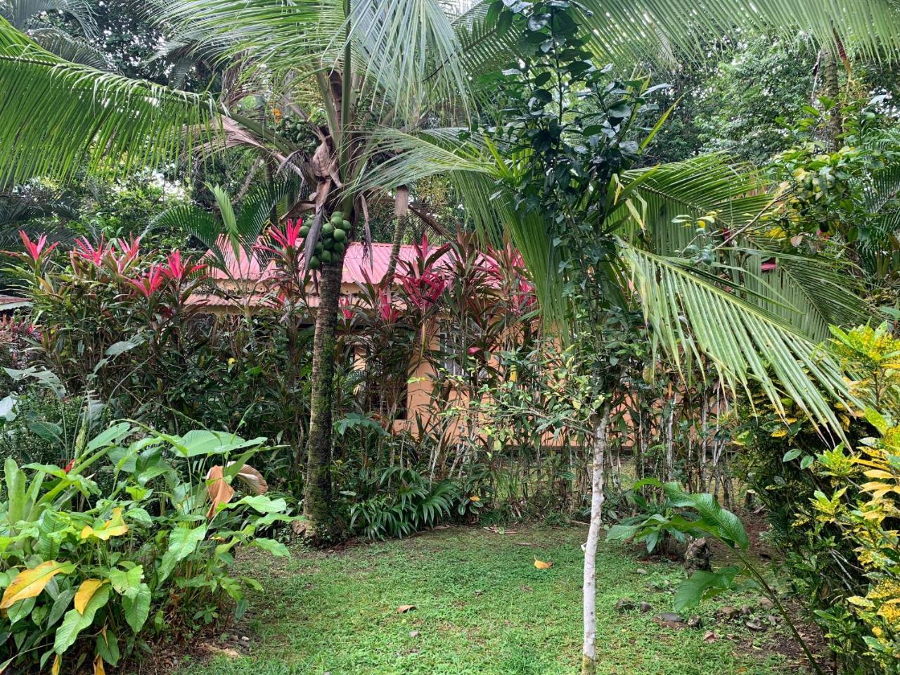 Luna Caribena Village Puerto Viejo de Talamanca Exteriör bild
