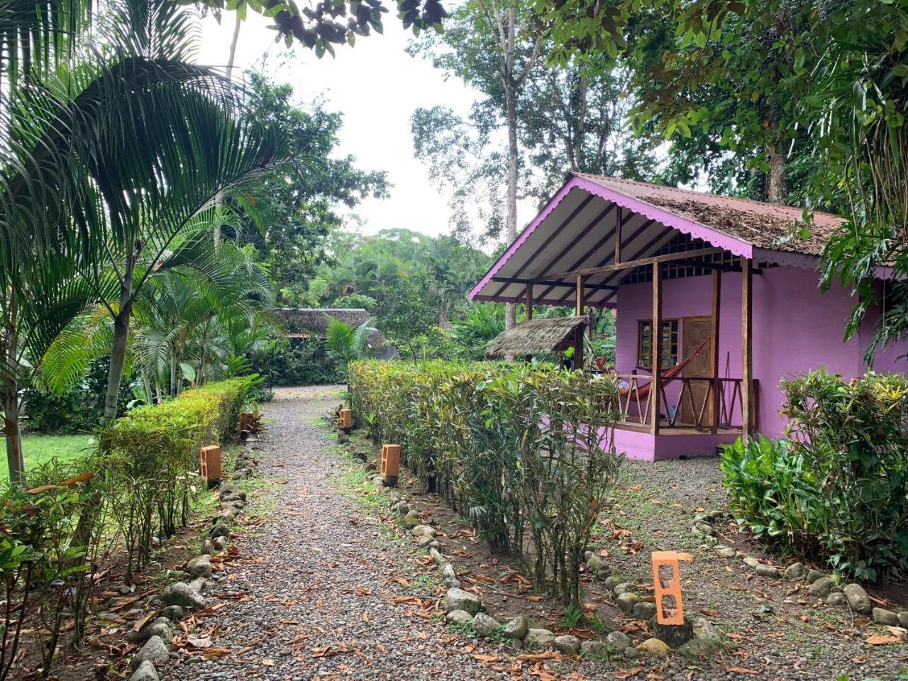 Luna Caribena Village Puerto Viejo de Talamanca Exteriör bild