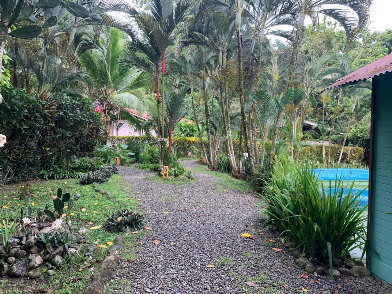 Luna Caribena Village Puerto Viejo de Talamanca Exteriör bild