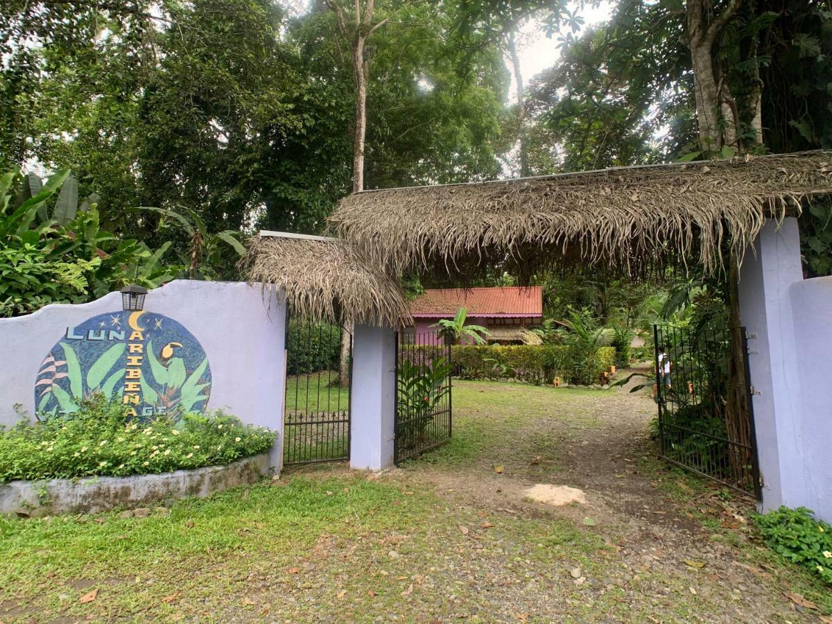 Luna Caribena Village Puerto Viejo de Talamanca Exteriör bild