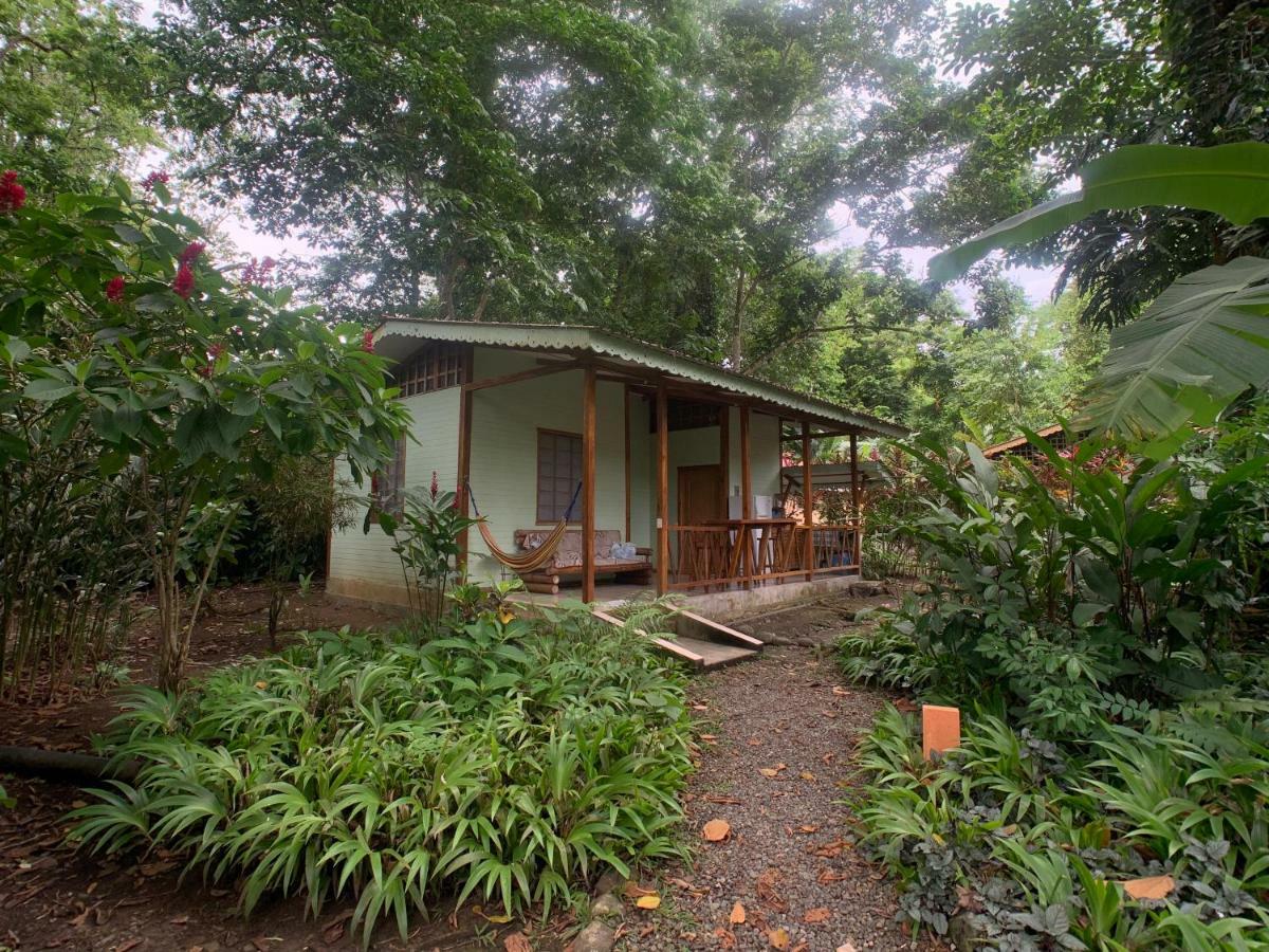 Luna Caribena Village Puerto Viejo de Talamanca Exteriör bild