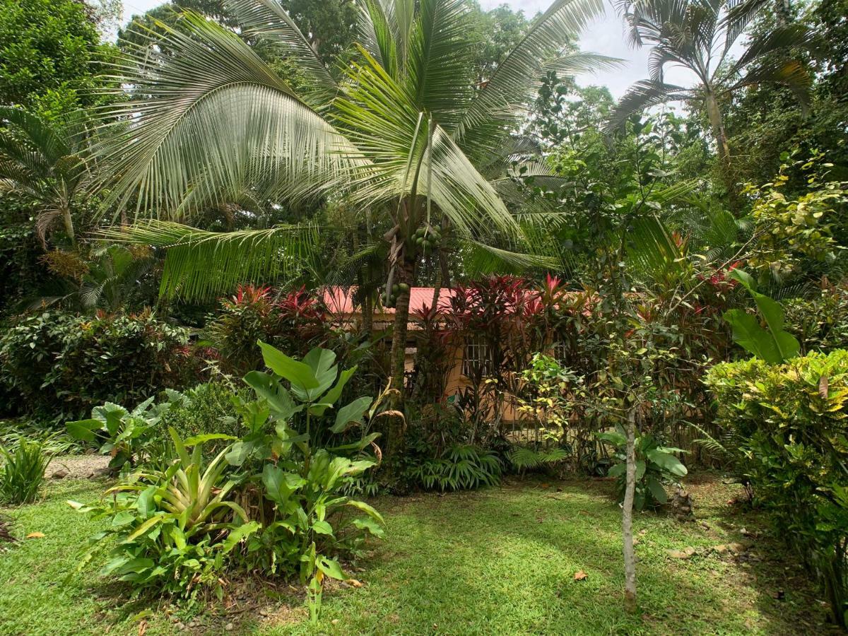 Luna Caribena Village Puerto Viejo de Talamanca Exteriör bild